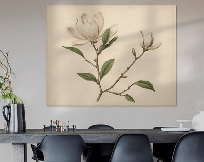 Magnolia IV - Timba Art