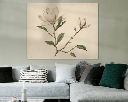 Magnolia IV - Timba Art